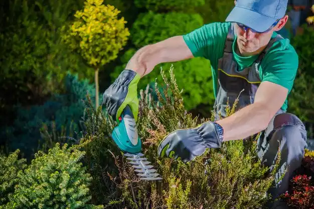 landscaping services South Ashburnham